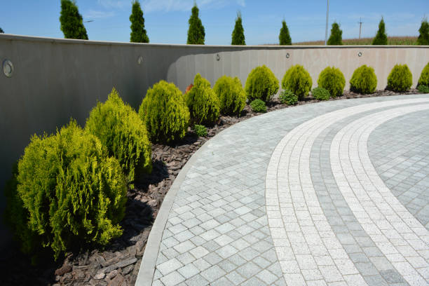 Best Local Driveway Pavers  in Riverdale Park, CA